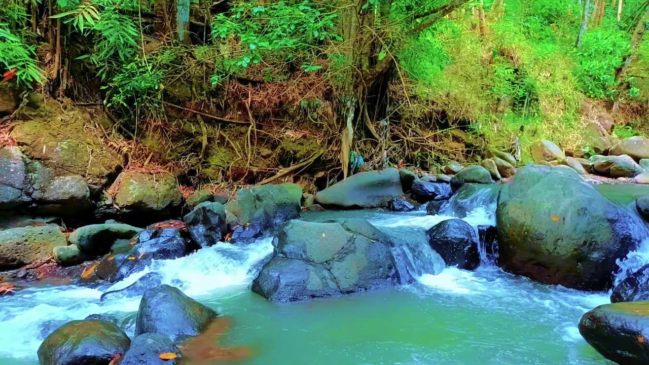 Calm River Ambience with Gentle Water Flow for Deep Sleep