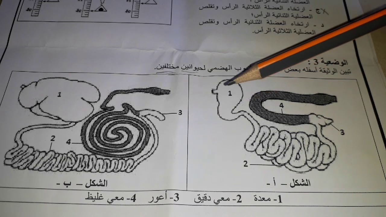تصحيح امتحان العلوم مباراة التعاقد دورة يناير 2018
