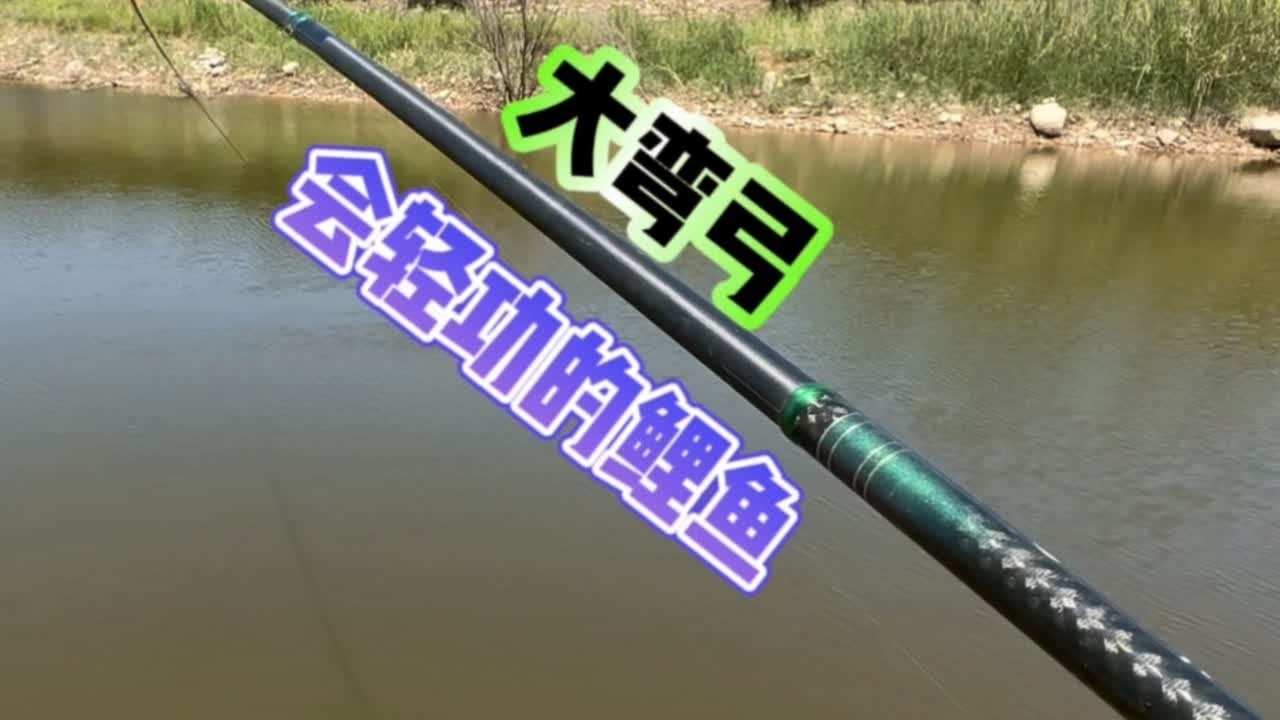水库湾叉不起眼的地方，打了几把窝料，没想到惊喜不断 #2024dou来钓鱼 #夏天就是要去钓大鱼 #钓鱼的乐趣只有钓鱼人懂 #抖音钓鱼人 #爱生活爱钓鱼