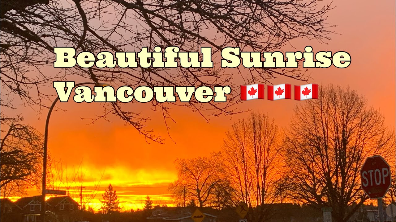 Beautiful Sunrise in Vancouver No Filter #relaxingmusic #beautiful #sunshine#sunrise#canada