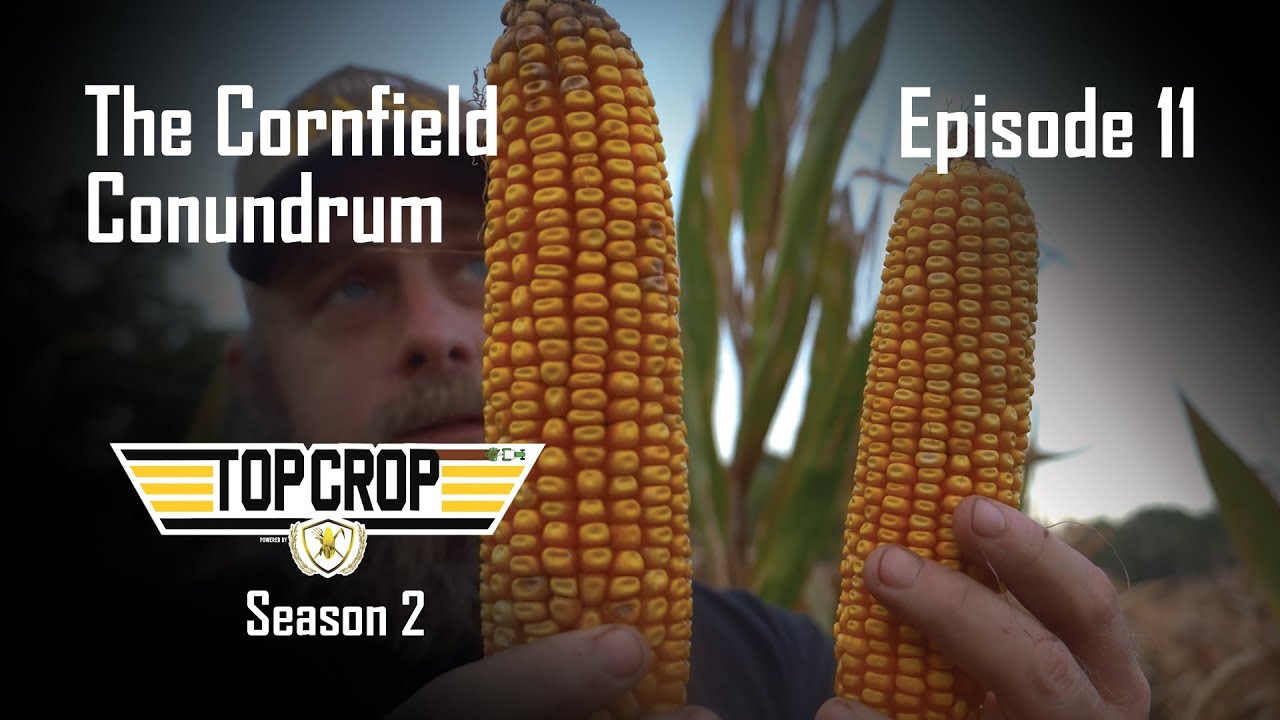 Top Crop Watch Party