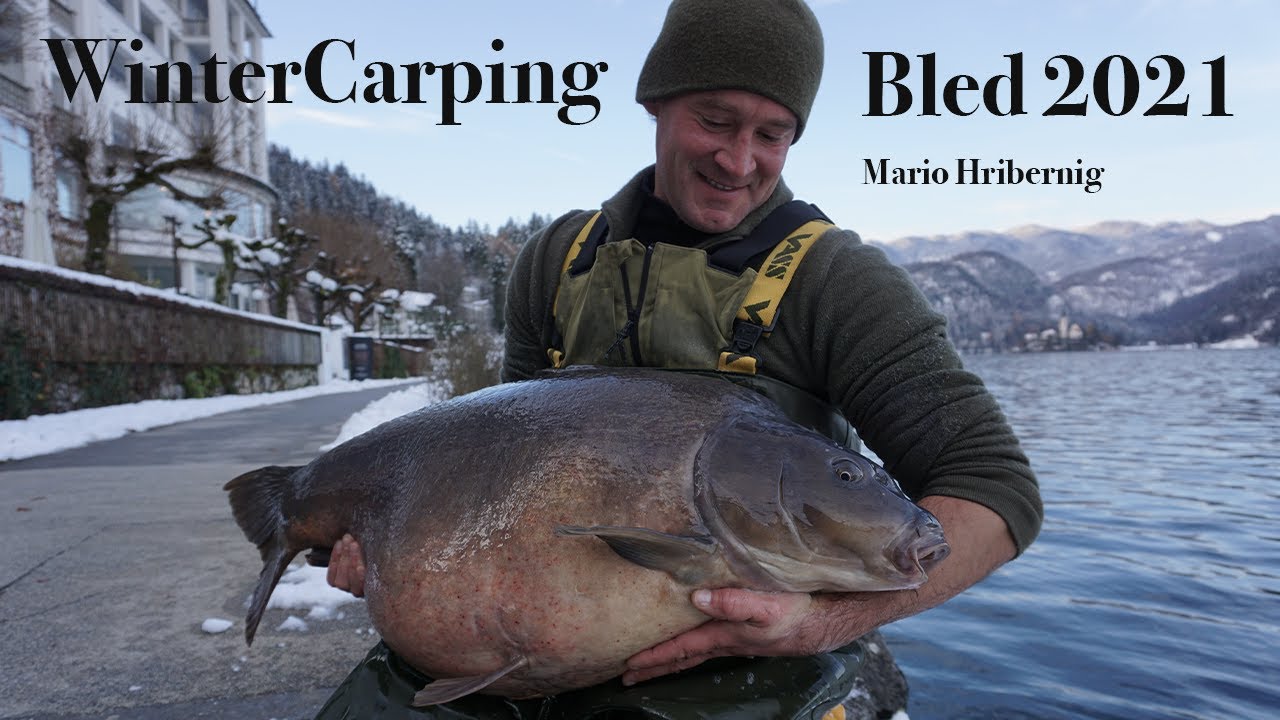 Wintercarpfishing Lake Bled 2021 🇬🇧ENGLISH SUBTITLES🇬🇧