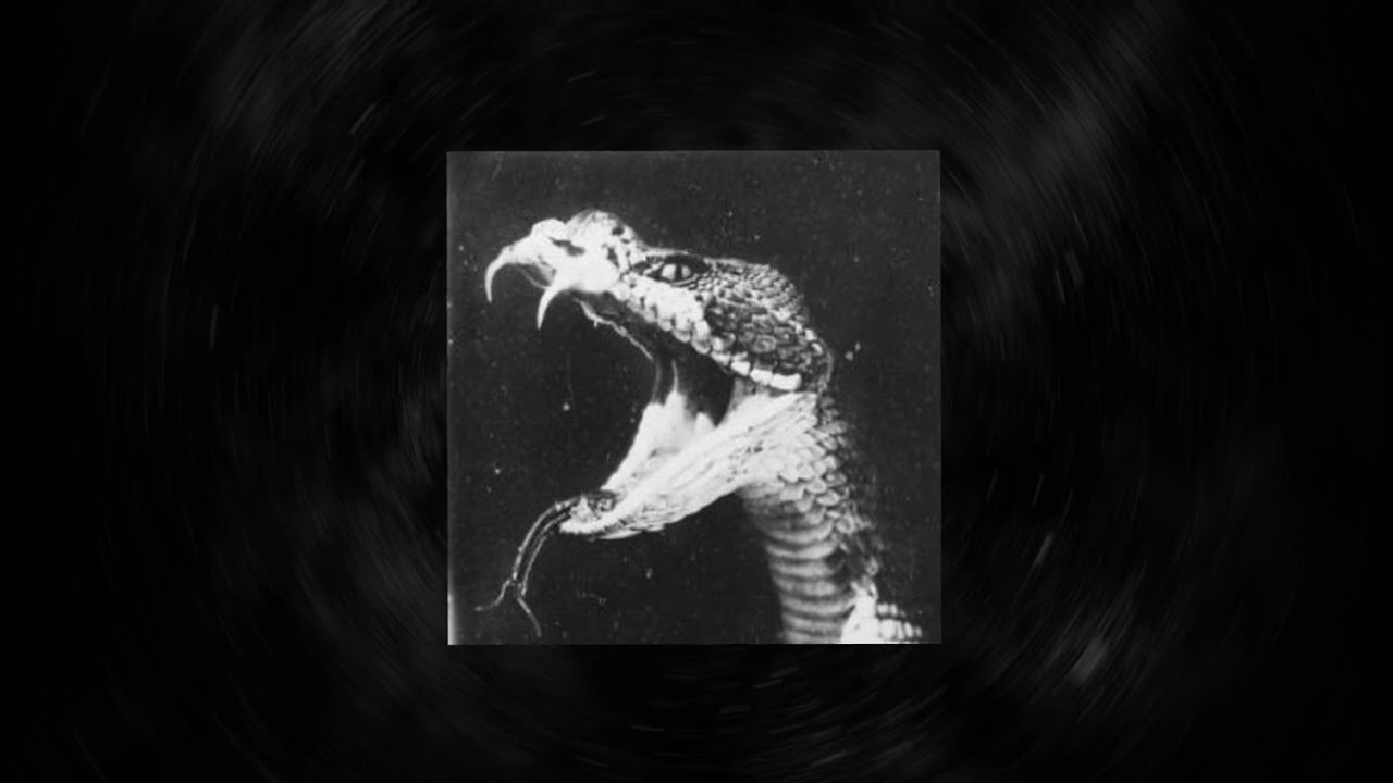 [FREE] Scary Trap Type Beat 