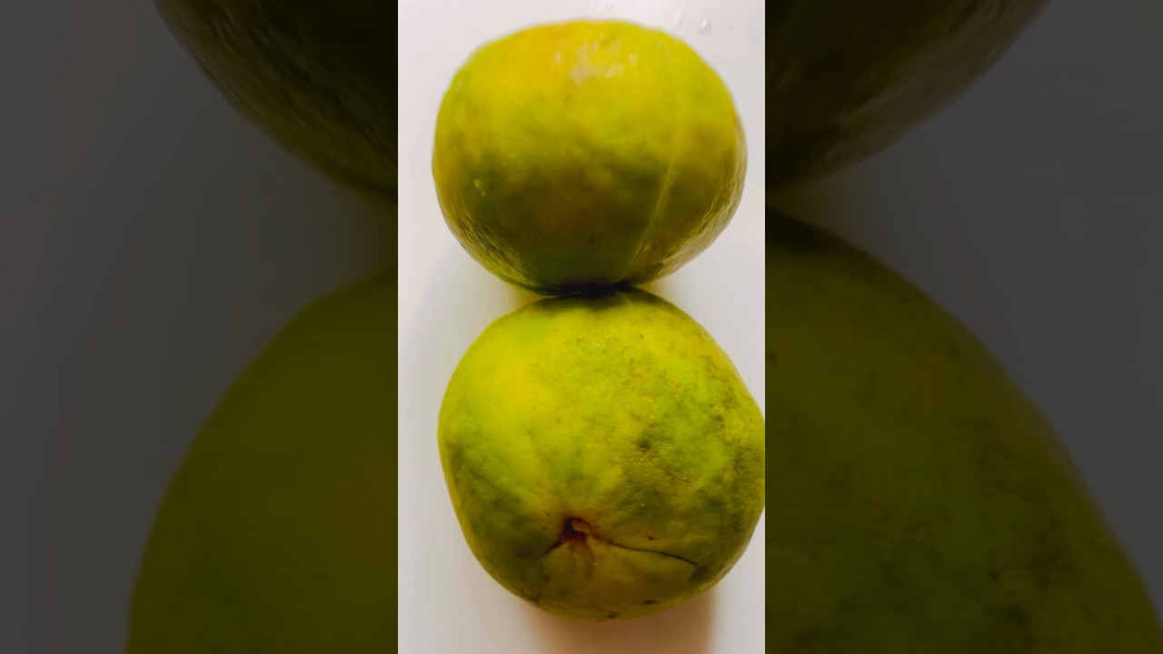 Fresh Citrus macroptera || shatkora 