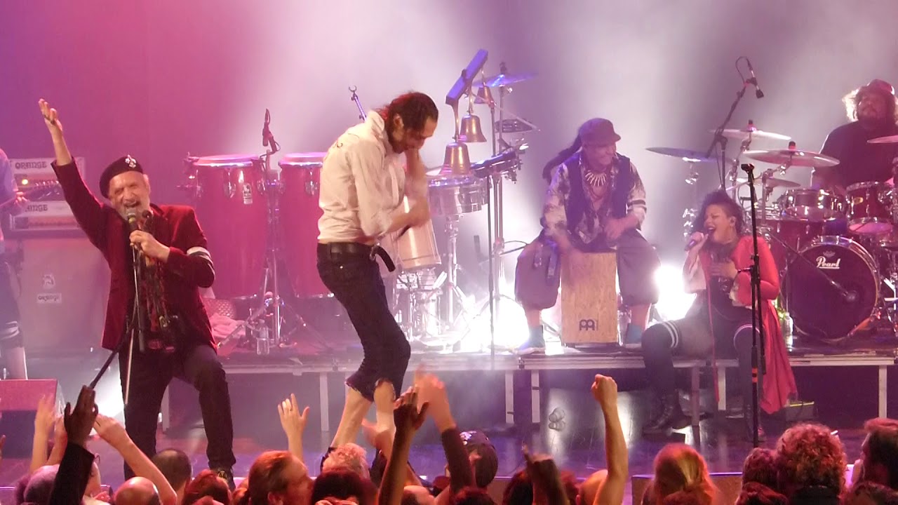 Gogol Bordello :