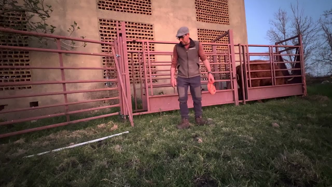 Problemas en el parto se nos hace de noche y sin parir hay que da allá se las apañe 😔😔