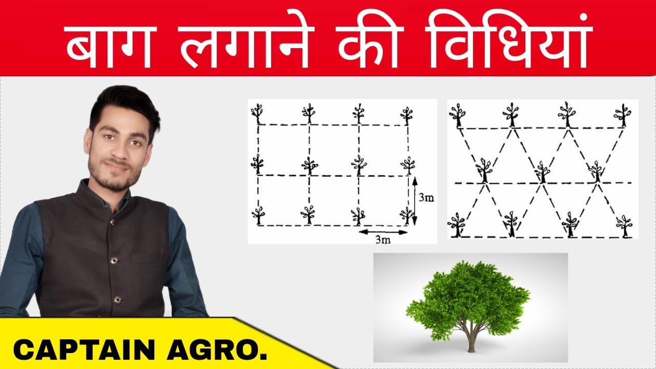 बाग़ लगाने की विधियाँ | layout of horticulture crops for agriculture students