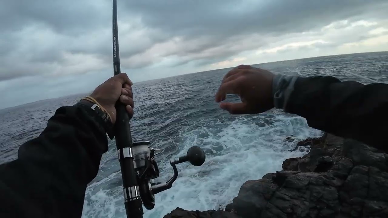 400m of 64lbs line and 7kg drag like it’s nothing 🫡 #reels #fishing #daiwa #australia #viral #nsw