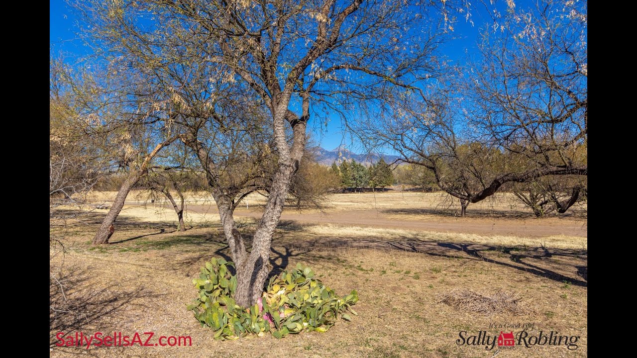 Cielito Lindo de Tubac