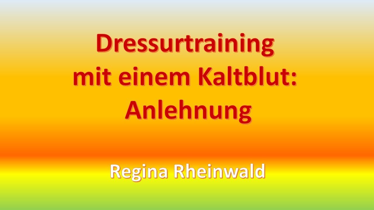 Dressurtraining mit einem Kaltblut, 1. Anlehnung von Regina Rheinwald