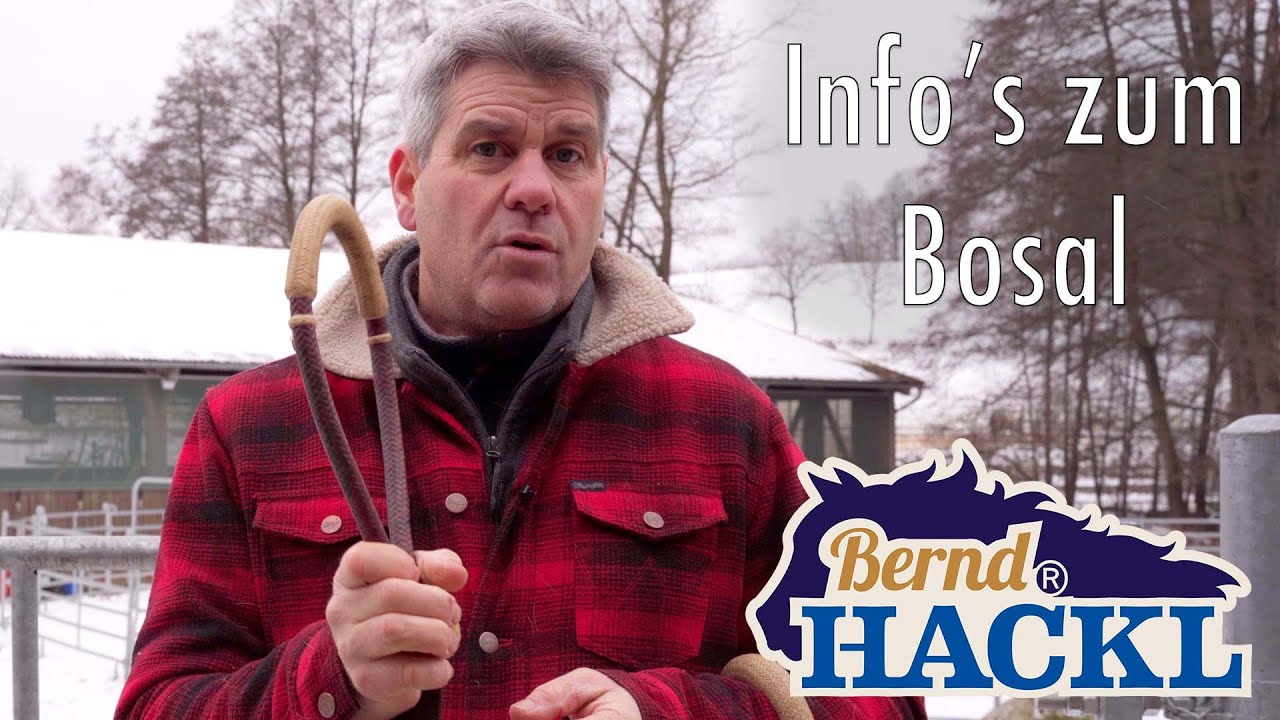 Infos zum Bosal I Bernd Hackl erklärt! 🐴