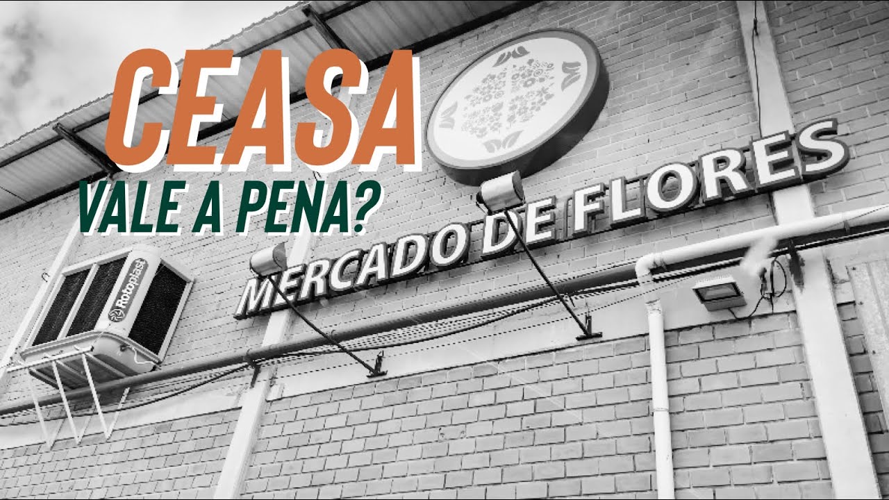 Ceasa Curitiba | Mercado de flores | Vale a pena?