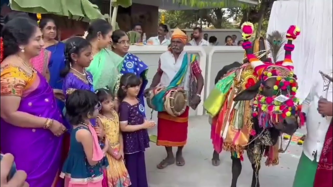 Makar Sankranti with IMA – Kakinada 🪁✨