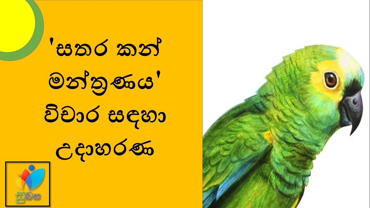 Sinhala Grade 10 - Sathara kan Manthranaya | සතර කන් මන්ත්‍රණය​