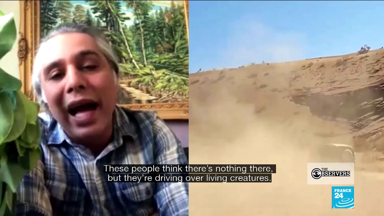 The environmental impact of Iranian desert safaris