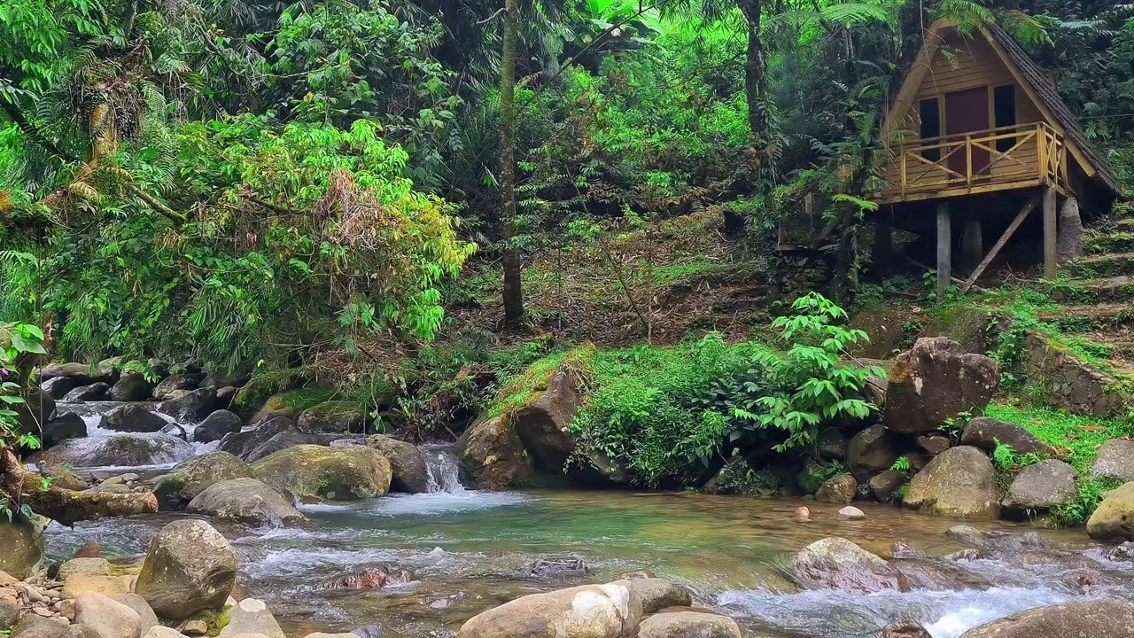 Soft River Ambience | Natural White Noise to Focus and Unwind