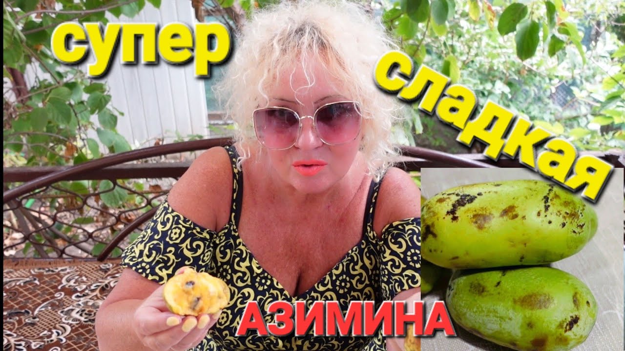 ОДЕССА ❤️АЗИМИНА СУПЕР ЭКЗОТИЧЕСКИЙ ФРУКТ❗️ПОСЫЛКА ОТ СТЕПАНА МИХАЙЛОВИЧА❗️РАСПАКОВКА