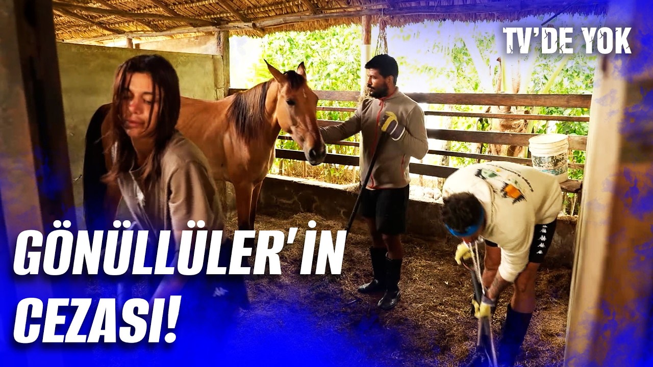 Çiftlik Temizleme Cezasında Neler Yaşandı? 👀 | Survivor 2026 5. Hafta 5. Bölüm
