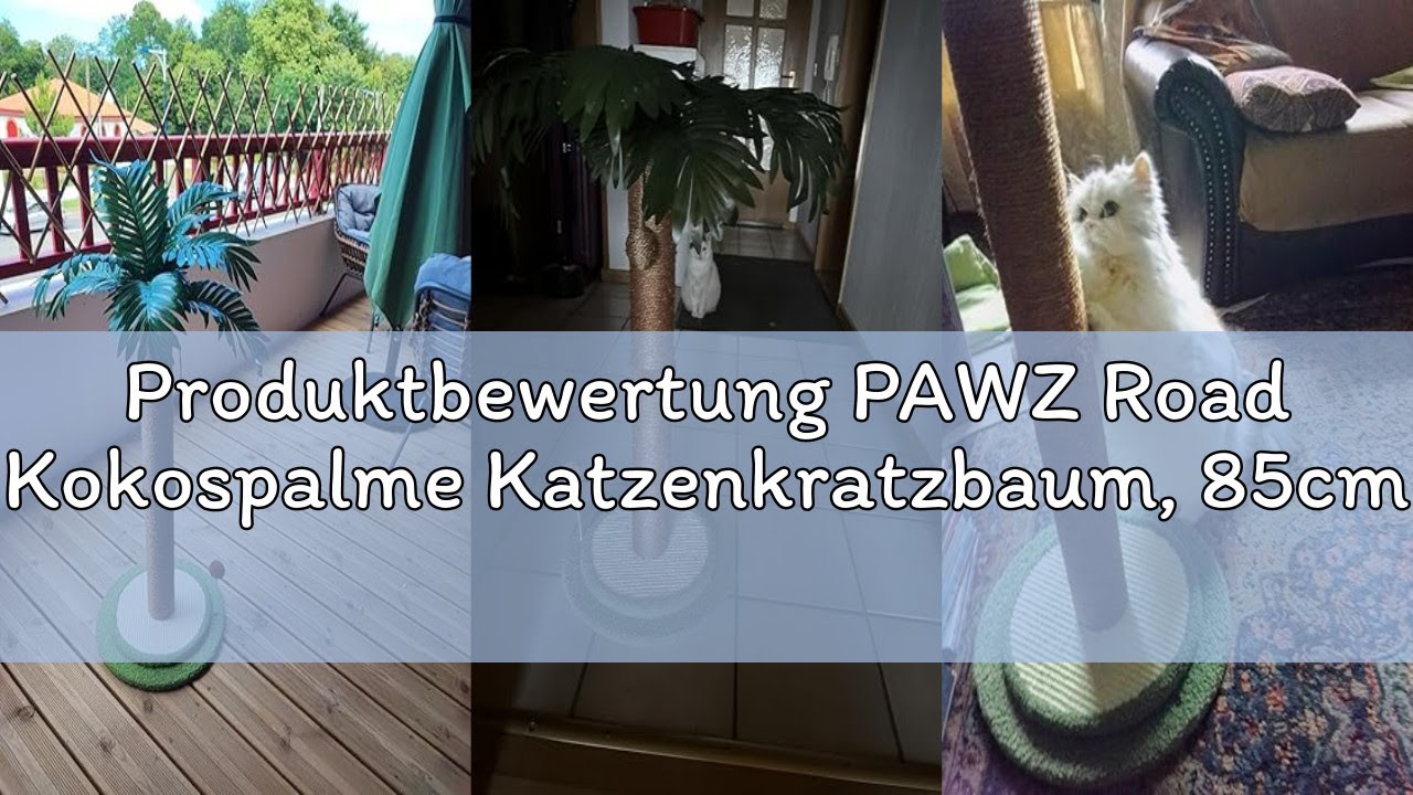 Produktbewertung PAWZ Road Kokospalme Katzenkratzbaum, 85cm Höhe Katzenkratzer für Wohnungskatzen mi