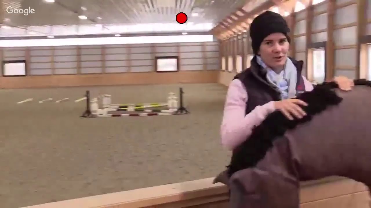 Advice for Riding at Home When You Don't Have a Trainer