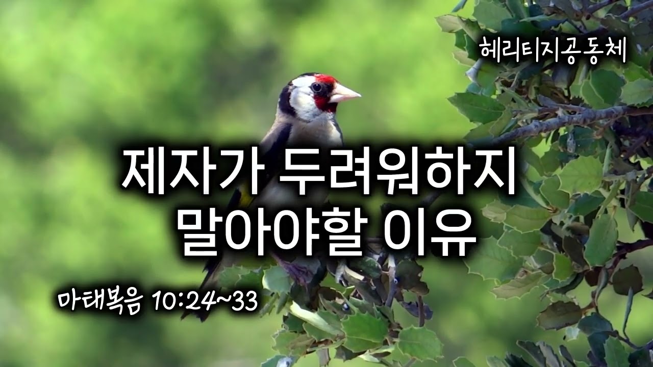 2026.2.15#주일예배