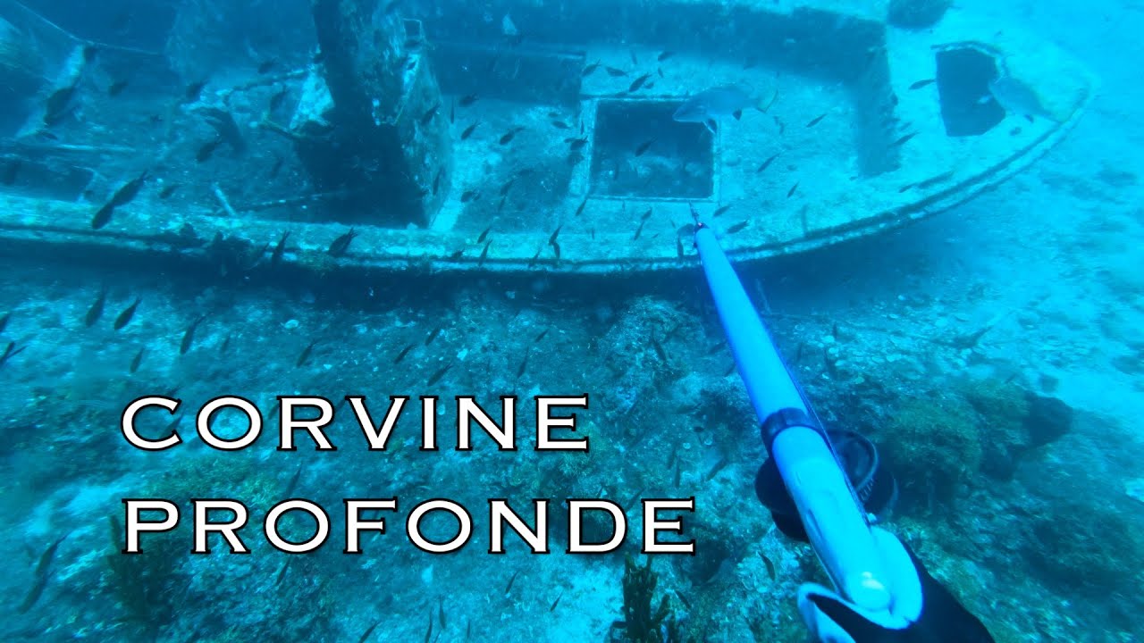 Pesca in apnea Profonda: In cerca di grosse CORVINE  [Mediterranean Spearfishing]