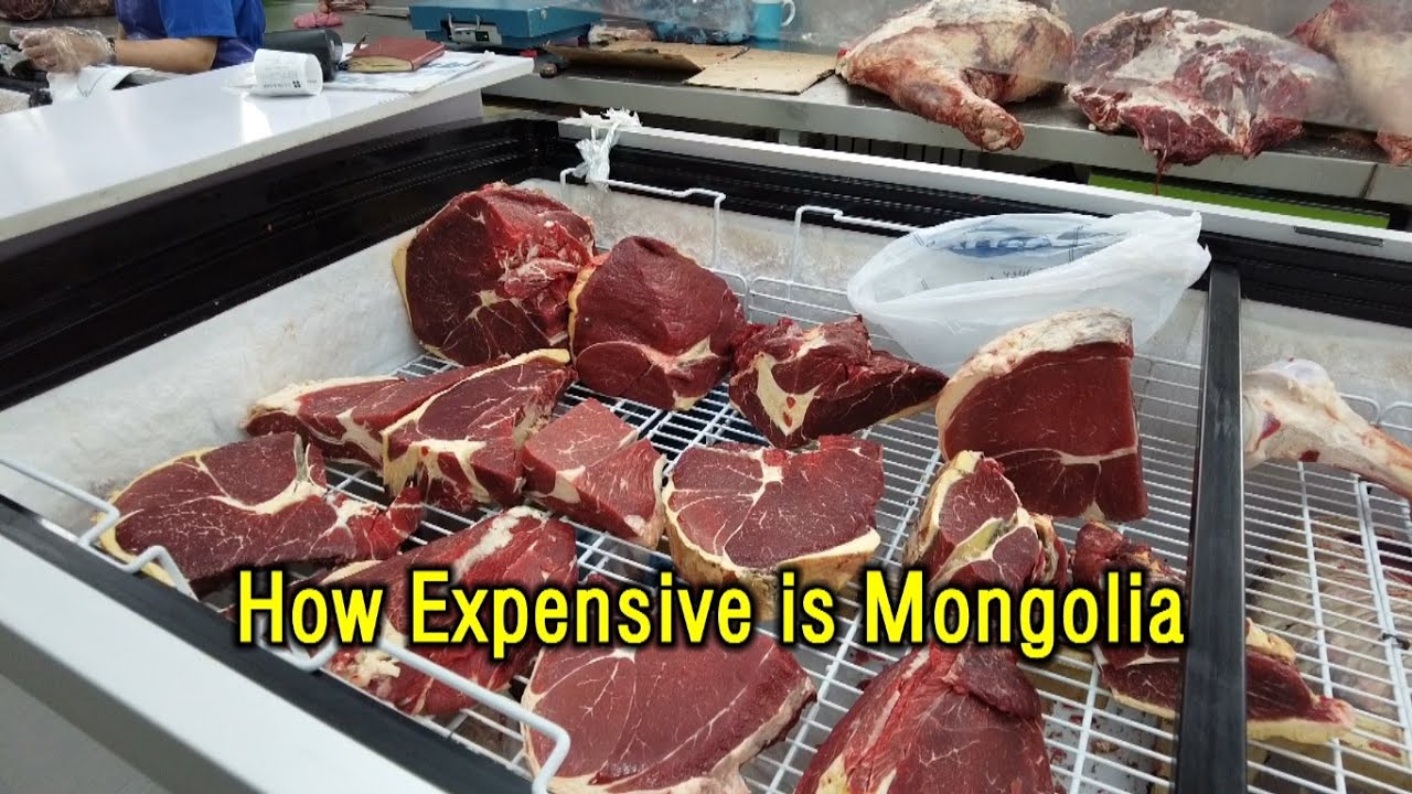How Expensive is Mongolia (Daily Vlog)