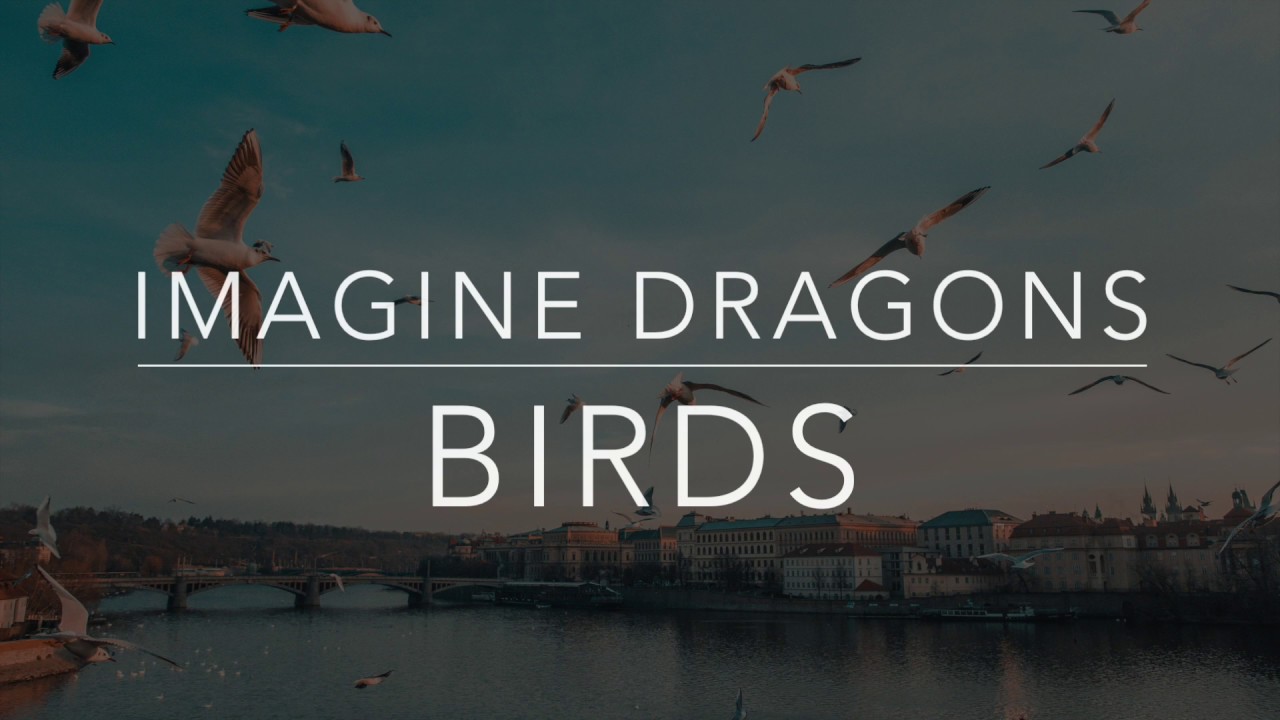 Imagine Dragons - Birds (Lyrics/Tradução/Legendado)(HQ)