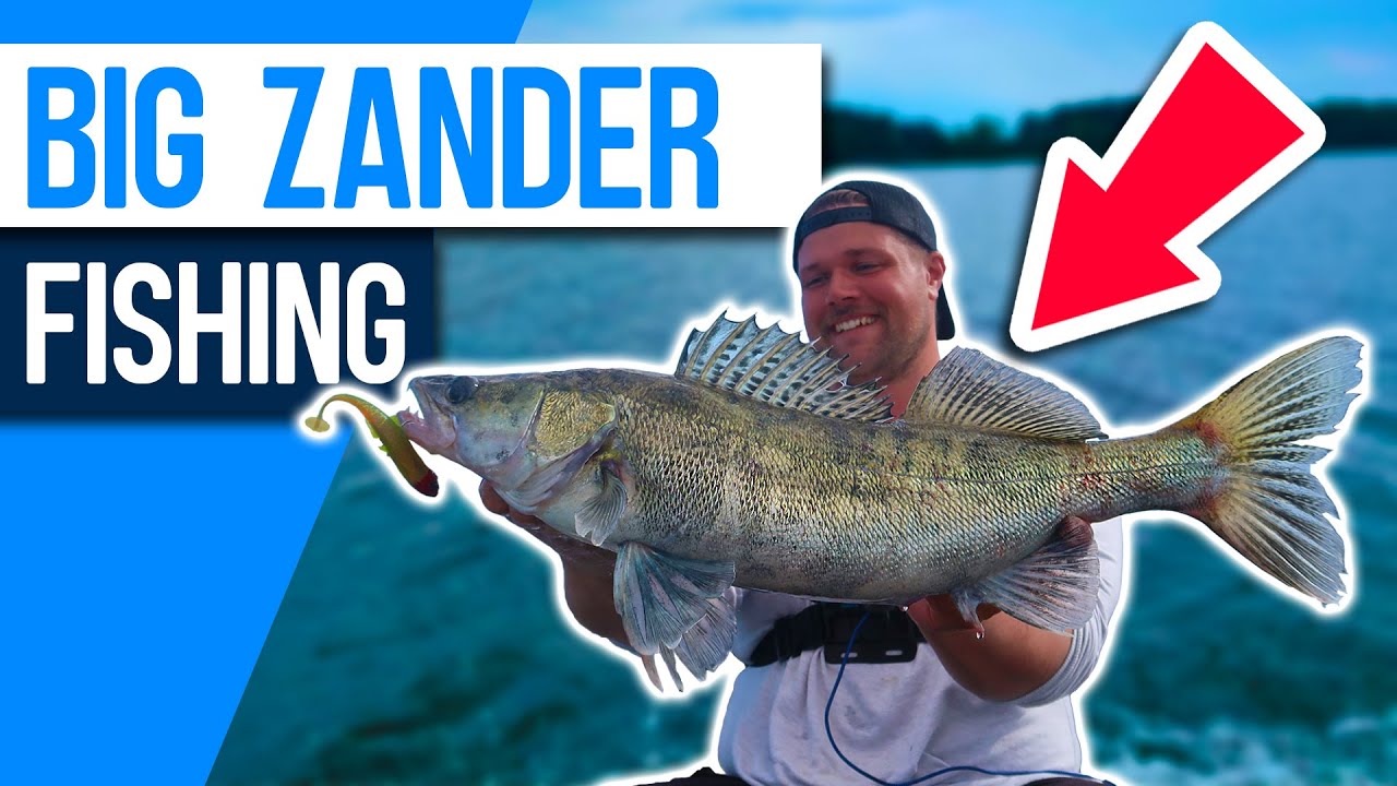Fishing for BIG ZANDER in Sweden! Lake Sibbo day 2