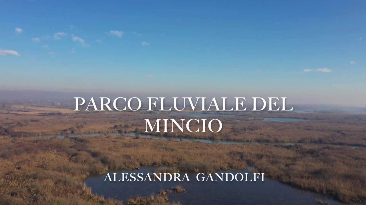 DJI MAVIC 2 PRO - Parco del Mincio