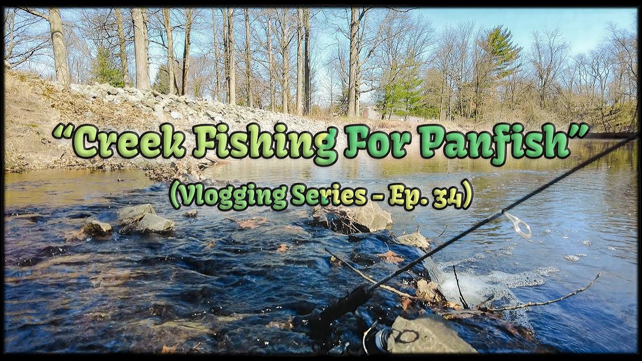 Creek Fishing For PanFish - COLONIA, NJ