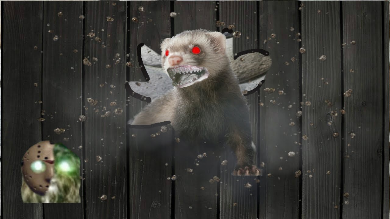 Gef the Talking Mongoose Mystery