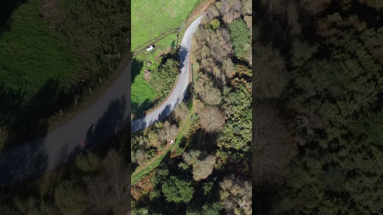 🌄Una Distesa Di Colline Verdeggianti E Boschi Infiniti 🌲 #4 (P.te 1)@DroneGenerationPreviews