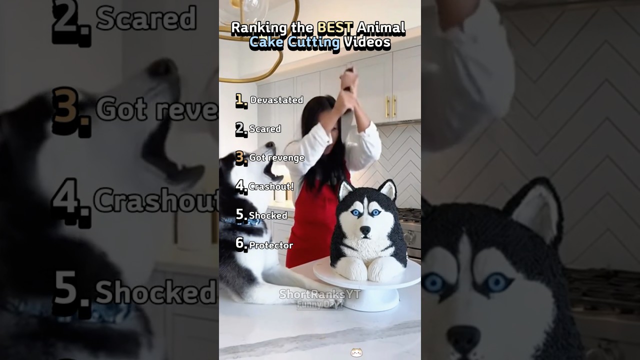 Ranking the BEST Animal CAKE PRANKS!
