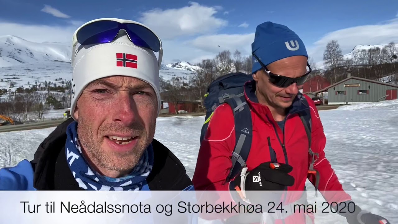 Neådalssnota og Storbekkhøa