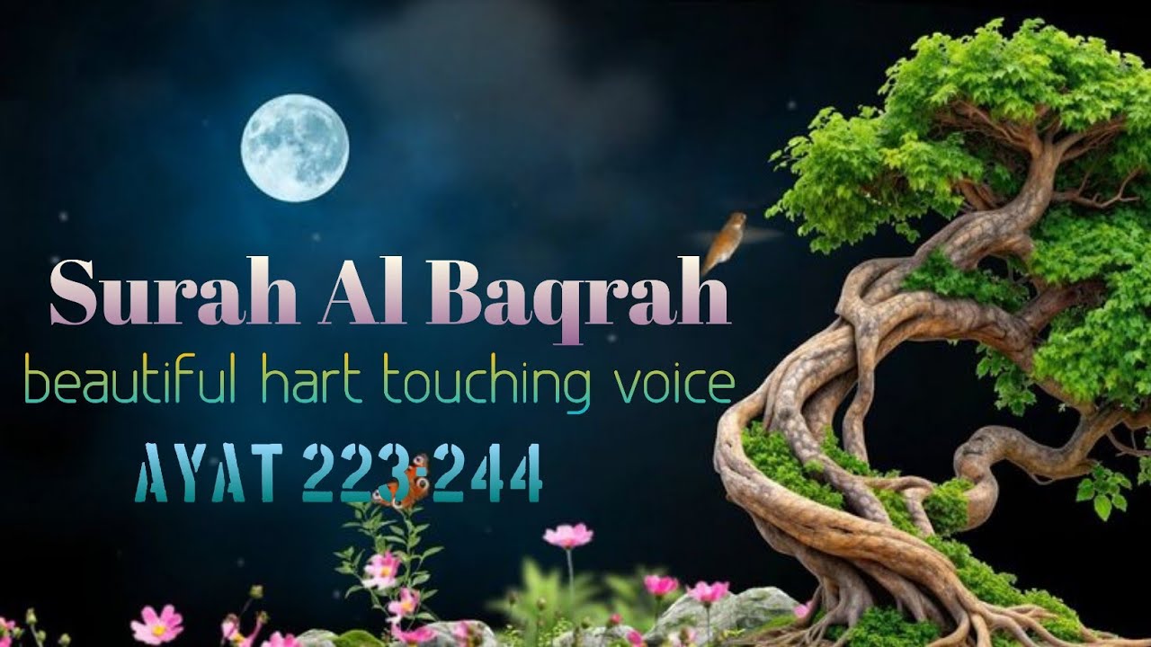 Surah Al-Baqarah | Full Quran Recitation | Peaceful Tilawat ///