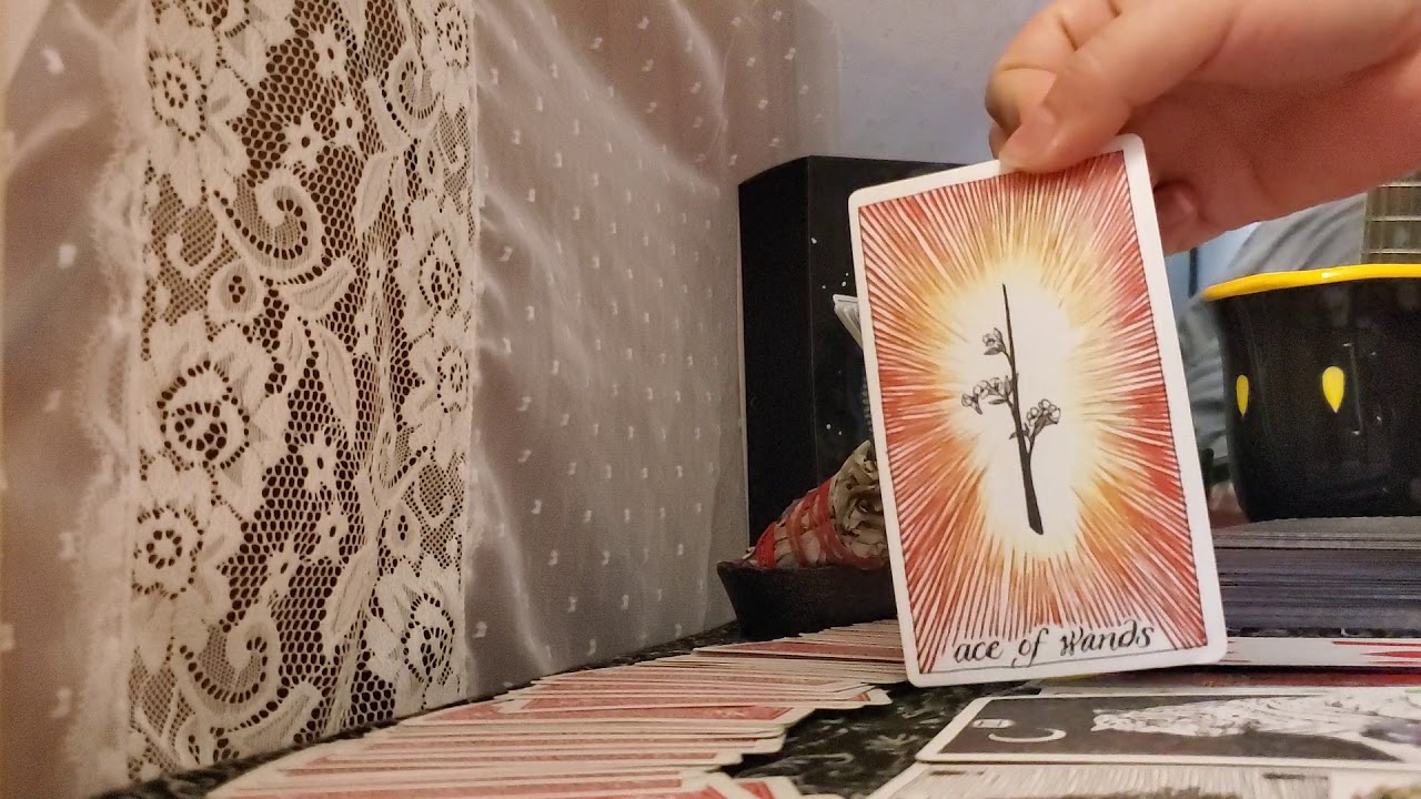 LEO LOVE SEPTEMBER LOVE READING 2019