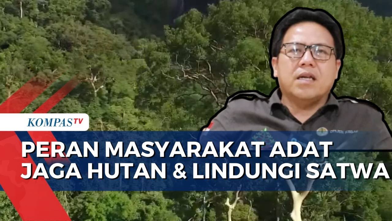 Peran Penting Masyarakat Adat Dalam Menjaga Kawasan Taman Nasional Kayan Mentarang | KS