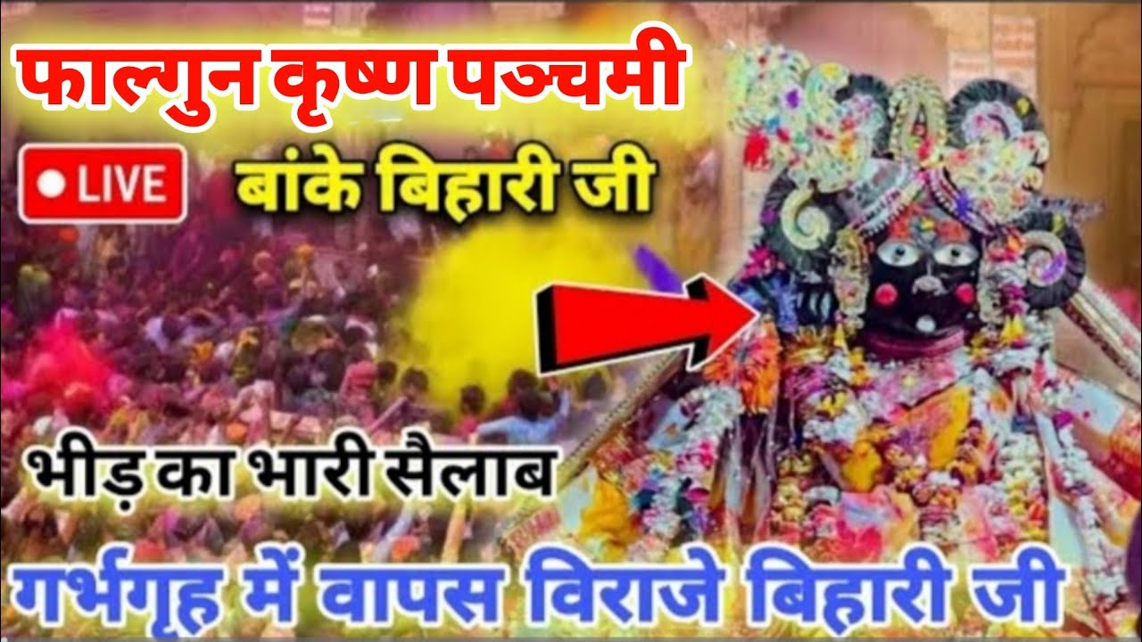 बिहारी जी की अद्भुत कृपा का 🥰आनंद आज महलों के मध्य एकदम 🥹करीब से श्रृंगार आरती का दर्शन प्राप्त