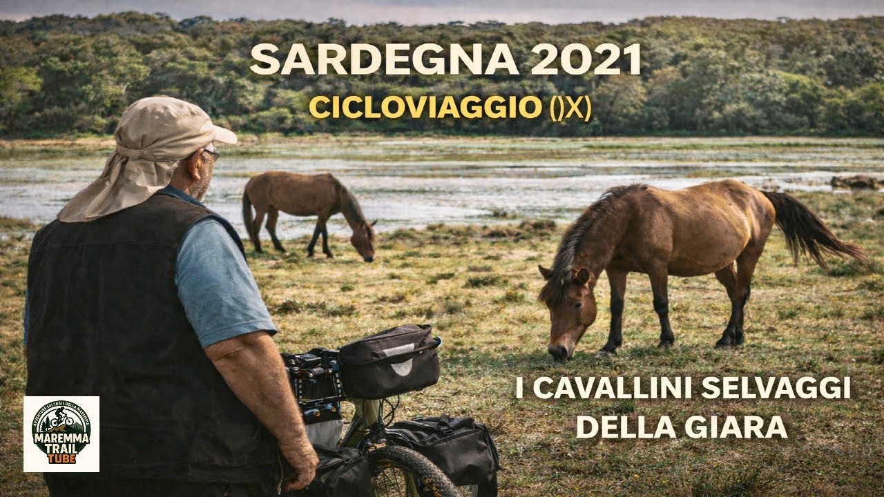 Cicloviaggio (9) – Sardegna 2021: finalmente vedo i cavallini selvaggi della Giara di Gesturi 🐎🚴‍♂️