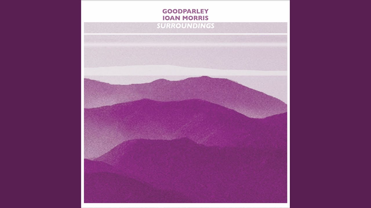 Have You Ever Seen A Portal?