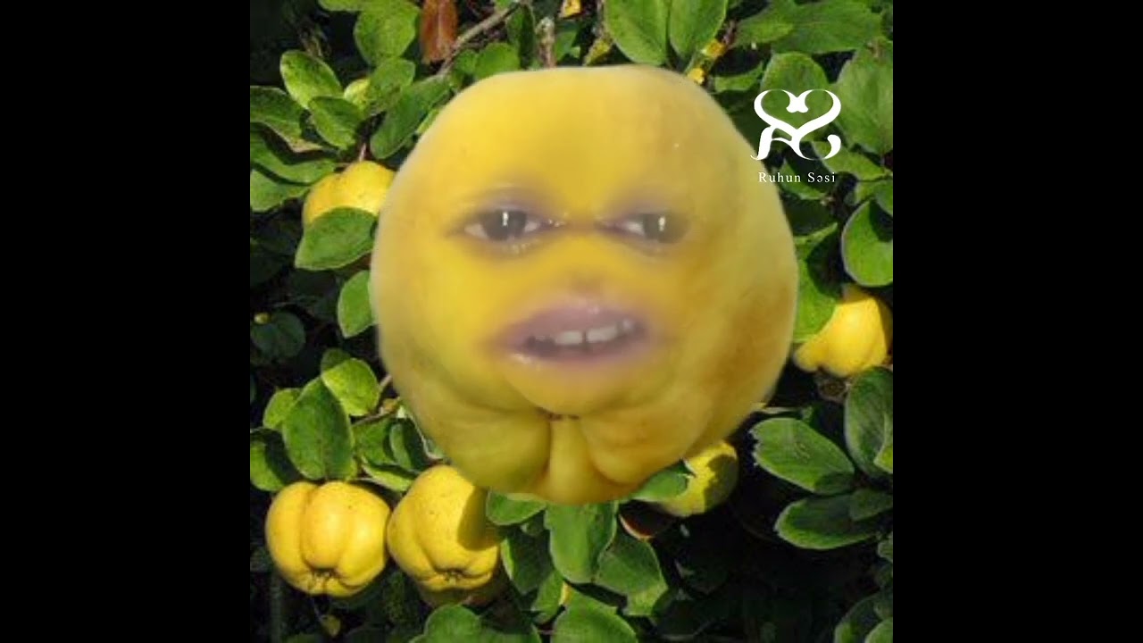 Məhəmməd Füzuli 