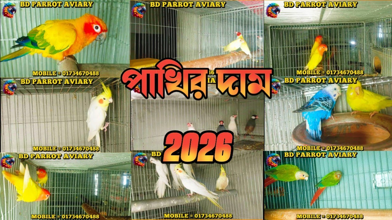 🦜পাখির দাম 🦜২০২৬🦜🦜🦜
