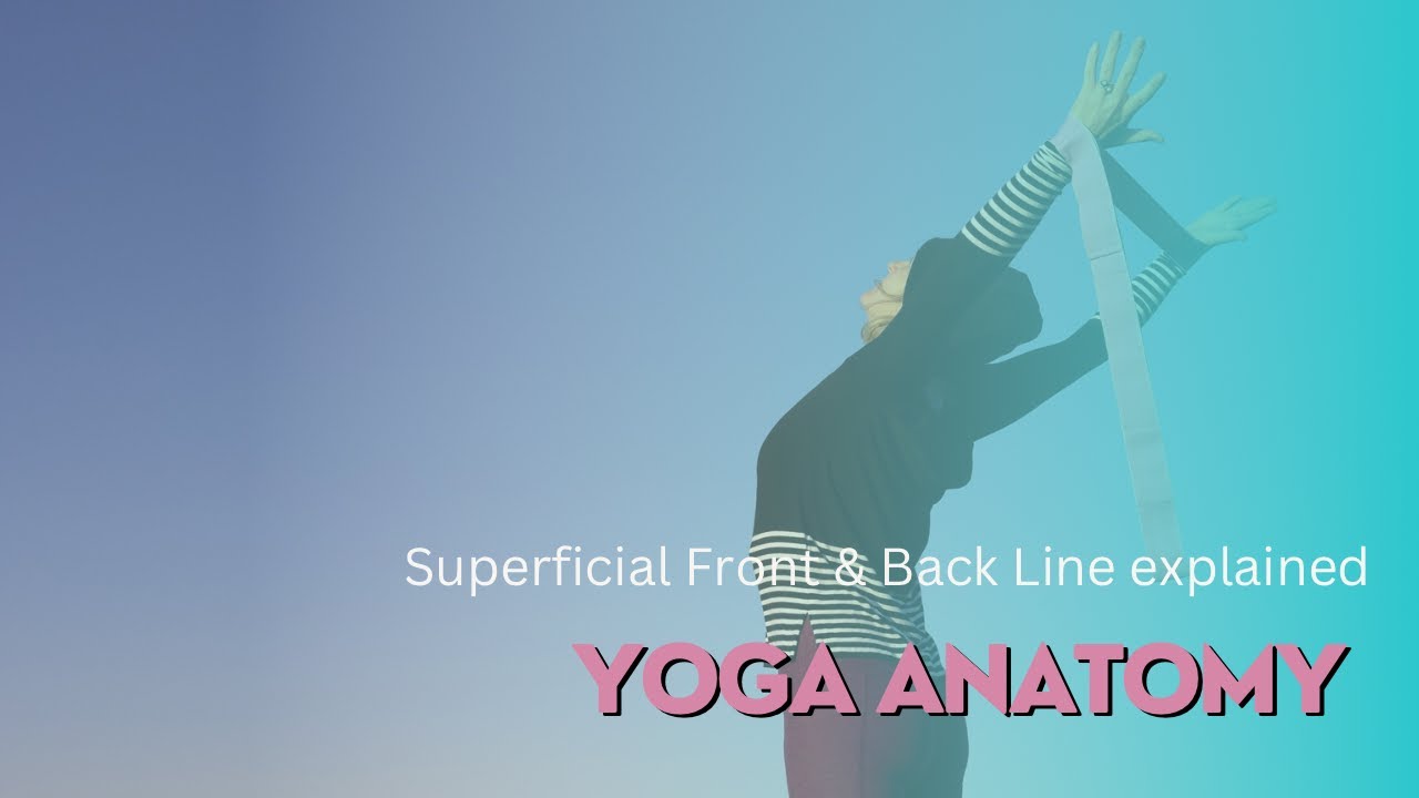 Front- and Back Body Fascia Line Explained