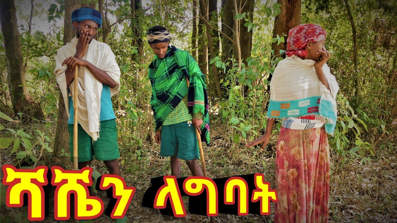 ሻሸን ላግባት !! ❤ አዲስ ምርጥ የገጠር ኮሜዲ ድራማ !!