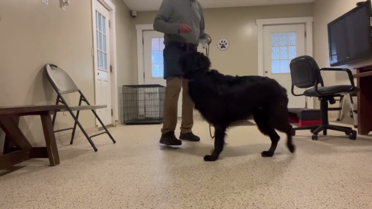 Remi 00-10-26