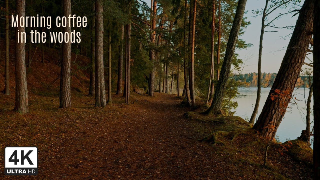 Chilly Morning Walk & Coffee | Liessaari Shelter, Lohja – Finland