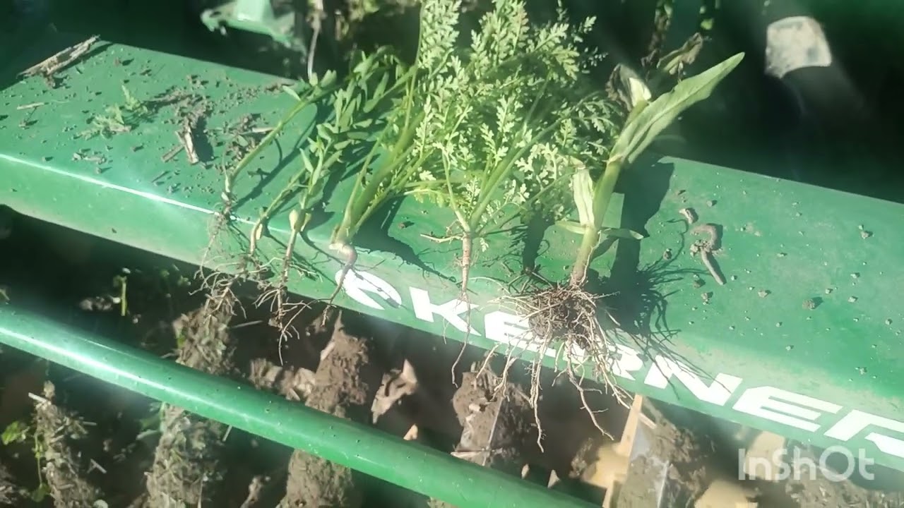 Zwischenfrucht umbrechen Valtra N154 Kerner Grubber @landwitschaft