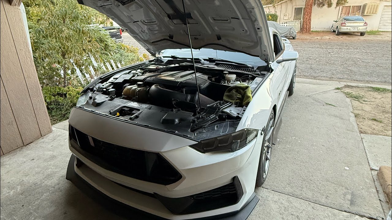 Dumps on a header mustang!!!