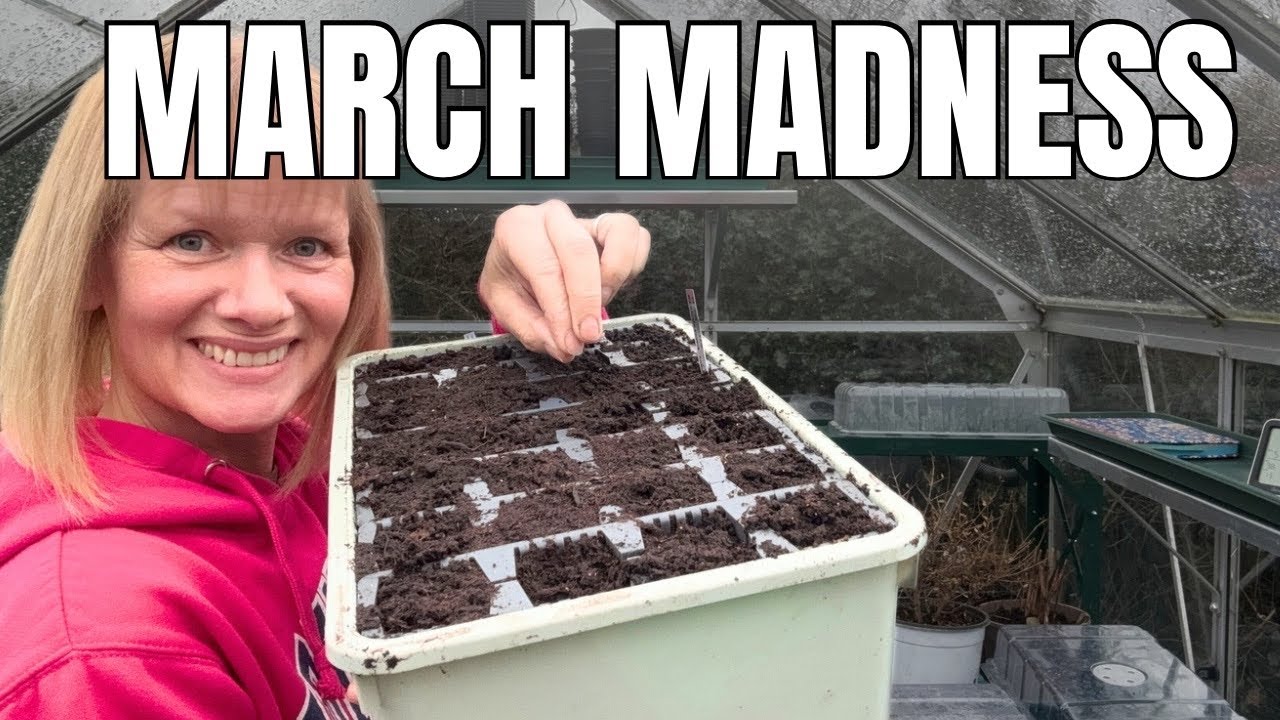 Seeds to Sow in March for the 2026 Summer Vegetable Garden | Seedling Update 